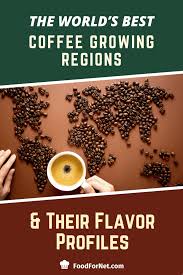 The Worlds Best Coffee Growing Regions Their Flavor Profiles