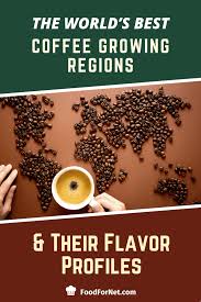 the worlds best coffee growing regions their flavor profiles