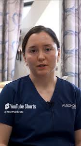 Last chance to join our Personal Support Worker program starting this  Spring., Hear from current student, Emily Behm, about her experience in the  program and what makes our program special., To learn ...