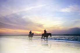 Best Things You Need To Do In Jacksonville Fl Local Expert Travel Guide