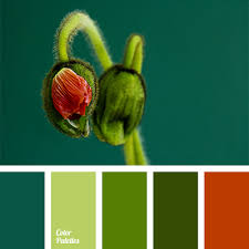 We did not find results for: Color Palette 1290 Green Colour Palette Color Palette Red Colour Palette