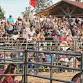 Spring Rodeo at Wind Vineyards