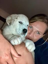 Mitchell Rumsey's Instagram, Twitter & Facebook