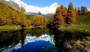 Image result for aoste