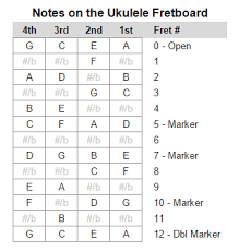 learn the notes of the ukulele fretboard using the chromatic