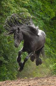 80 Best Award Winning Wildlife Photography Examples From Around The World Animal Photography Wildlife Giraffe Photography Wildlife Wildlife Photography