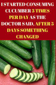 The Cucumber Is A Vegetable That Provides Numerous Health Benefits And It Even Possesses Healing Health Cucumber Fast Metabolism