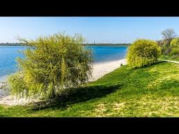 Markkleeberger See Radtour Youtube