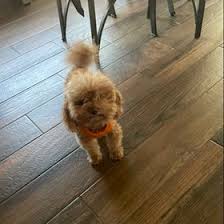 Brendan Rudd (brendanrudd9)