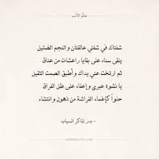 pin by zai on words quotes in 2021 words quotes arabic quotes words