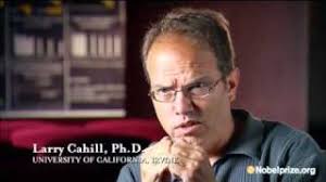 The Mystery of Memory, Documentary