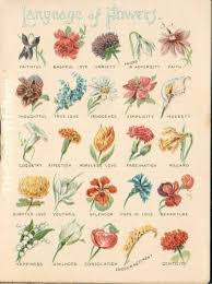 Flower that represents strength and courage. Meaning Of Flowers Flower Language Symbolism What Does That Flower Mean