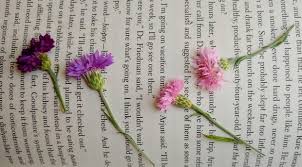 It's fun, creative, and produces sentiments the whole teach your kids how to make greeting cards with interesting shapes. Make A Pressed Flower Greeting Card