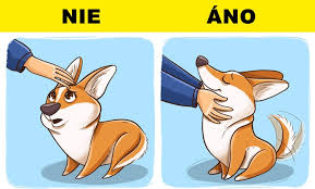 Decembra 1989 a odvtedy je najdlhšie vysielaným animovaným seriálom v histórii (má 30 sérií a vyše 650 epizód). Dokaz Ze Psy A Macky Su Z Inej Planety Tieto Ilustracie Vas Presvedcia