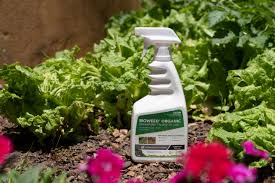 It removes weed accurately and makes sure that whole of the place gets free from weeds and mushrooms. Bioweed Organic Natural Weed Killer Organic Glyphosate Free Herbicide