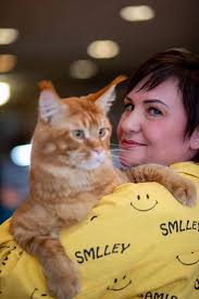 Котознайка от Ирины Игнатовой