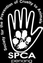 Full information about central animal hospital in windsor, ontario, canada: Penang Vet Clinics Spca Penang