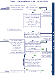 Image result for Low Back Pain Management