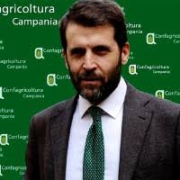 100+ "Paolo Conte" profiles