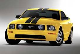 Black And Yellow Mustang Gt Google Image Result For Http Www Allfordmustangs Com Forums Attachments 2005 2010 Mustang Talk 14996d1142396264 Ford Mustang 2005 Ford Mustang Yellow Mustang