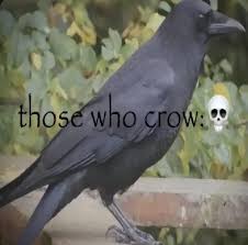 Image result for tbn:ANd9GcTBX-Bmi4wXvLTHOyCu2H3XukbDeAp8etfh7tFe4YYJeCElR1h9hXUufg