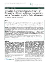 Image result for Orthosiphon schimperi