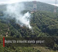 Alınan bilgiye göre, göksu deresi'nde bulunan bir teknede henüz belirlenemeyen nedenle yangın çıktı. Fkxkzv3n5pnevm