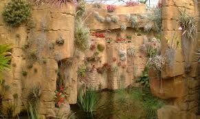 Get inspired with our creative air plant ideas. Home