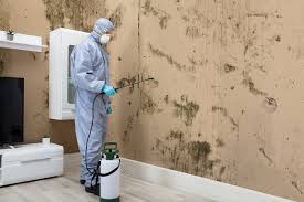 Schimmel im wohnzimmer ist zwar deutlich seltener als beispielsweise im bad oder schlafzimmer. Schimmel Im Wohnzimmer Darauf Sollten Sie Achten Gesund Wohnen