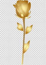 In the large rose png gallery, all of the files can be used for commercial purpose. Rose Gold Flower Png Clipart Blue Rose Clip Art Color Cut Flowers Desktop Wallpaper Free Png