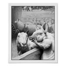 Squealer Poster Zazzle Com Animal Posters Animal Farm George Orwell Farm Animals