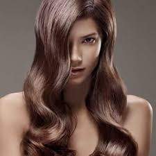 JACQUES MICHAEL SALON