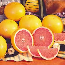Image result for Grapefruit