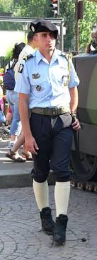 Vbci / 16e bataillon de chasseurs à pied. Corps Des Chasseurs A Pied En France Wikipedia
