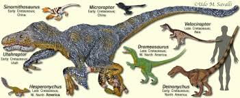 Our animation is a fun dinosaur twist in this retelling of a children's classic, three little pigs. Category Raptors Dinosaur Wiki Fandom
