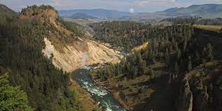 Not only is it a beautiful area to drive through but also has some great things to do. Tower Roosevelt And The Northeast Yellowstone National Park U S National Park Service
