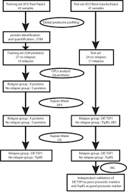 The reason is that chemotherapy works better than other treatments at killing cancer cells that divide quickly, which is very common in triple negative disease. Prediction Of Recurrence And Survival For Triple Negative Breast Cancer Tnbc By A Protein Signature In Tissue Samples Molecular Cellular Proteomics