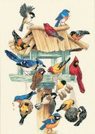 This pdf counted cross stitch pattern available for instant download. Amazon Com Dimensions Feasting Frenzy Birds Counted Cross Stitch Kit 18 Count Ivory Aida 10 X 14