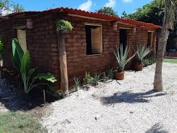 De acuerdo con la red de monitoreo del sargazo, las cantidades de la macroalga han disminuido en las costas quintanarroenses, así como en el gran caribe y las antillas, hasta en un 90 por ciento. Sargazo Tag Archdaily