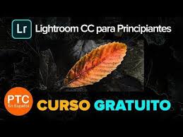 En la ventana emergente tendrás que ponerle nombre, decidir el grupo al que va y seleccionar cuáles de los ajustes se guardan dentro del preset. Lightroom Cc Para Principiantes Curso Completo Gratis Tutoriales De Lightroom Cc 2018 En Espanol Yout Lightroom Tutoriales Photoshop Presets De Lightroom