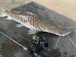 インドネシア 釣り