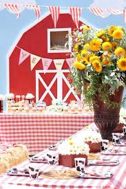 Barnyard childs birthday party decorations & supplies. 41 Farm Themed Birthday Party Ideas Spaceships And Laser Beams