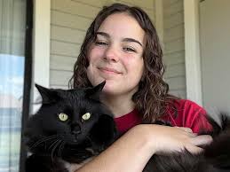 VCA Village Animal Hospital