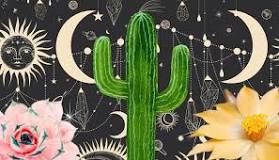 What is the spiritual meaning of cactus?