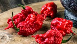 The 13 Hottest Peppers In The World 2019 Update