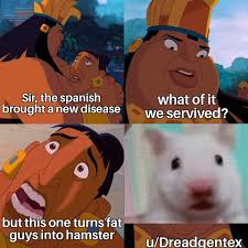 Aw man nobody ever expects the spanish inquisition : memes