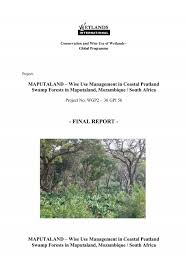 Image result for Scolopia stolzii