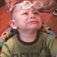 Aardina Neumann-Verhulst