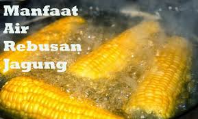 We did not find results for: Download Manfaat Air Rebusan Jagung Manis Images Content