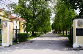 Find match results, goal scorers, yellow cards, red cards, shots, corners and offsides. Pferdezentrum Stadl Paura Wikipedia